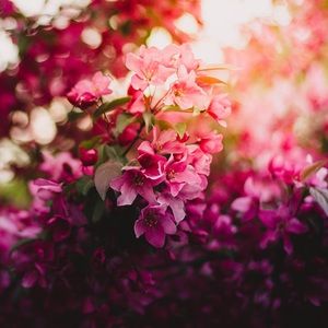 Meet your Posher, Staci